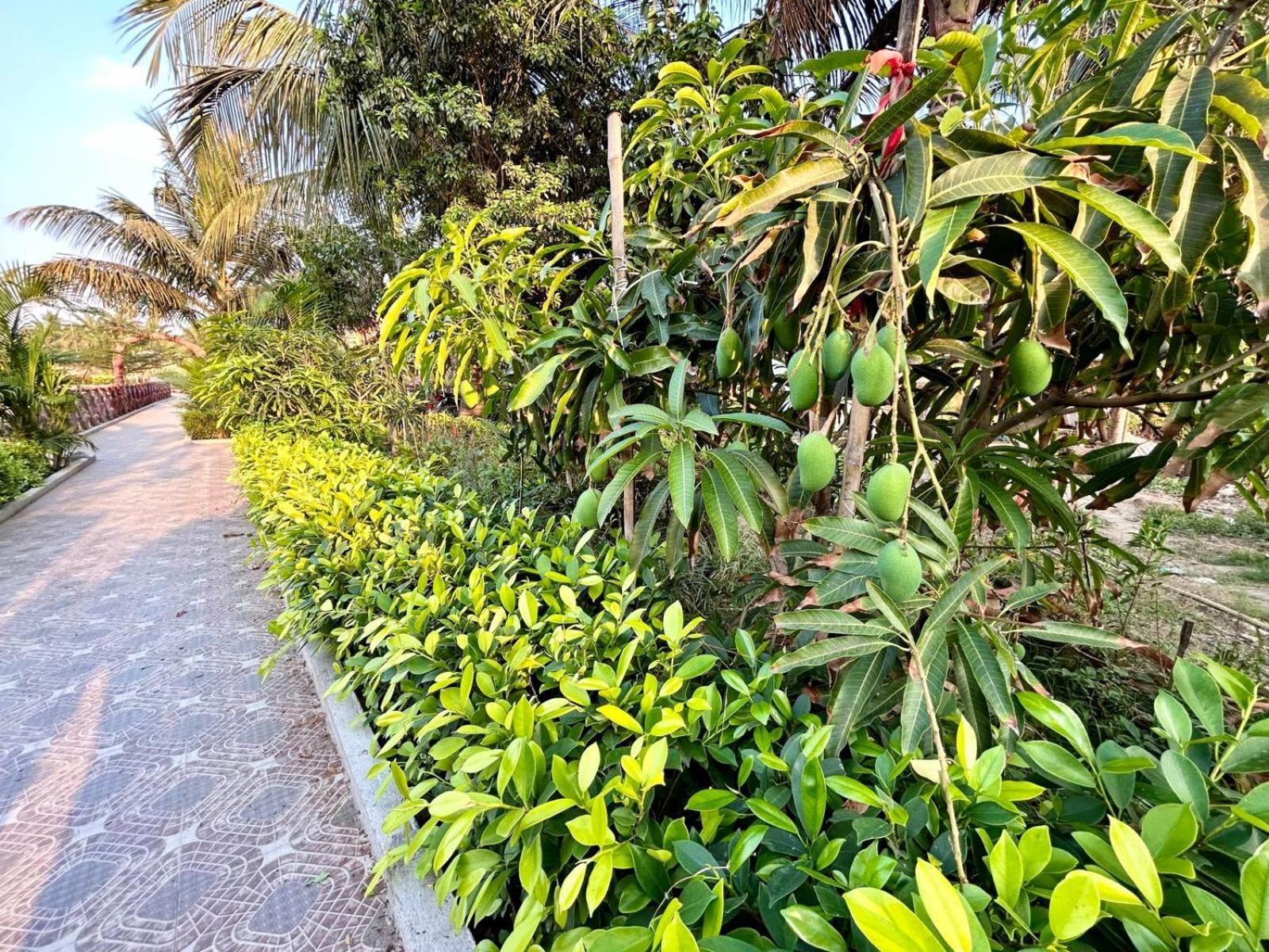 Palli Bangla Resort, Near Ruby Hospital, Anandapur 콜카타 외부 사진